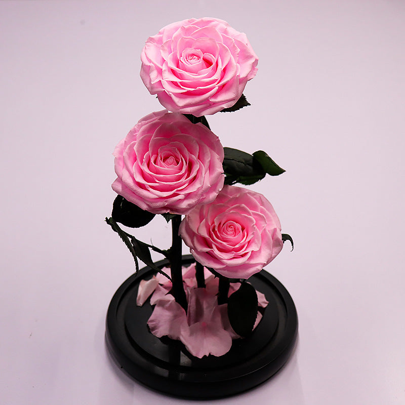 Immortal Rose – Perfect Gift for Any Occasion