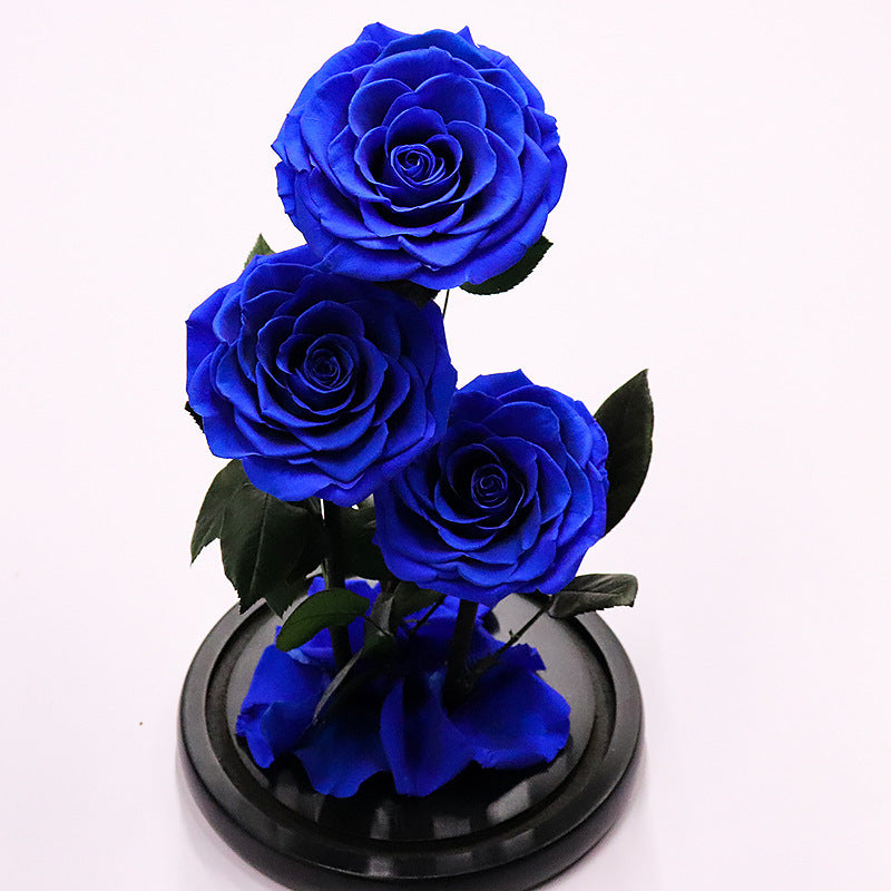 Immortal Rose – Perfect Gift for Any Occasion