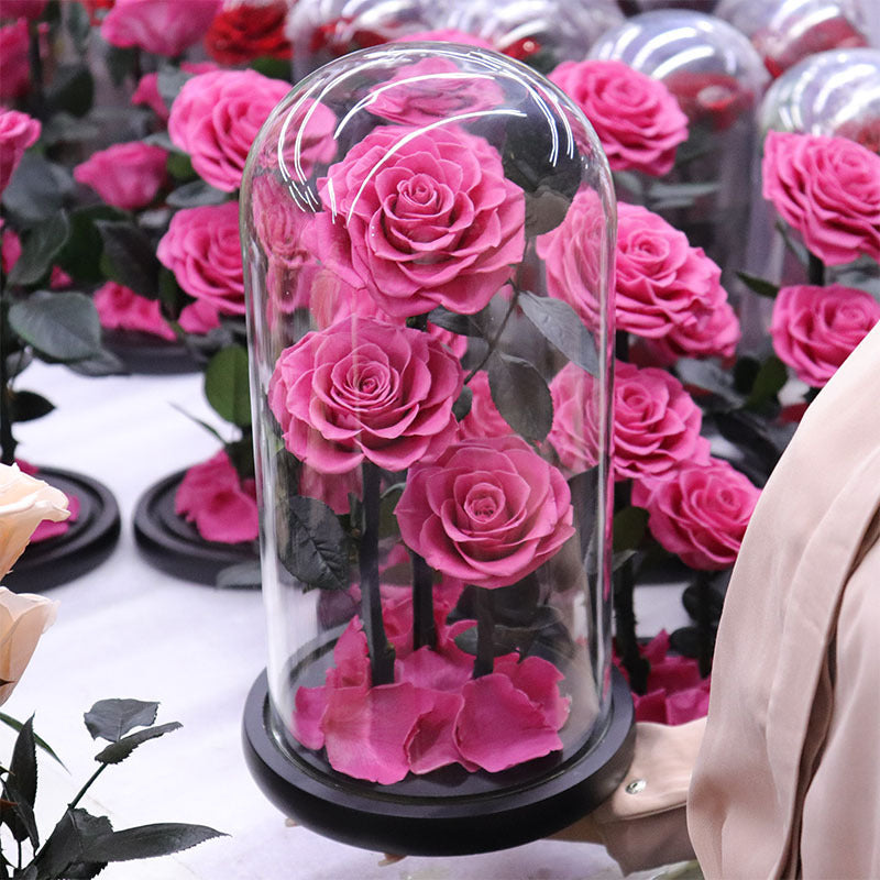 Immortal Rose – Perfect Gift for Any Occasion