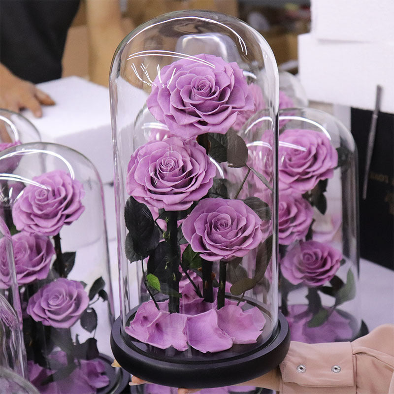 Immortal Rose – Perfect Gift for Any Occasion