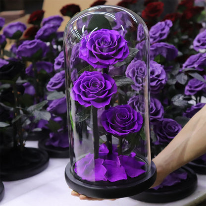 Immortal Rose – Perfect Gift for Any Occasion