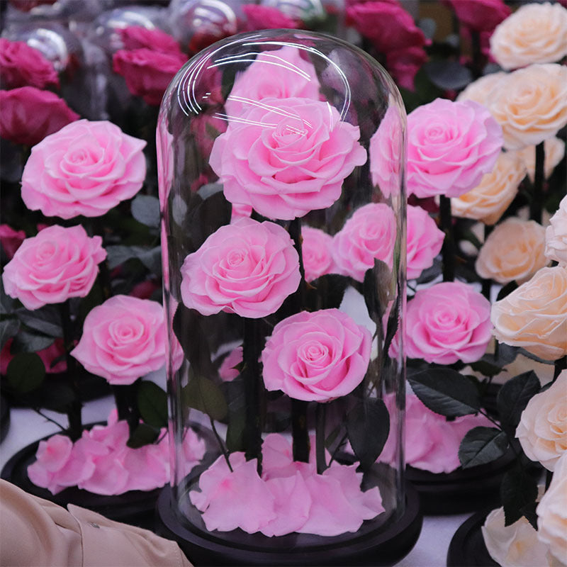 Immortal Rose – Perfect Gift for Any Occasion