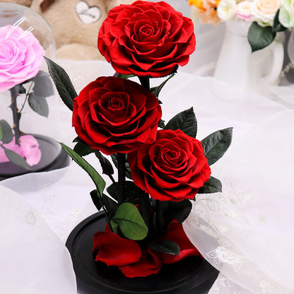 Immortal Rose – Perfect Gift for Any Occasion